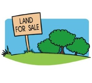 3 Acre Agricultural Land with House For Sale at Vakeri Wayanad