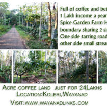 1 Acre Land for Sale at Koleri near Spice Garden Farm House Wayanad