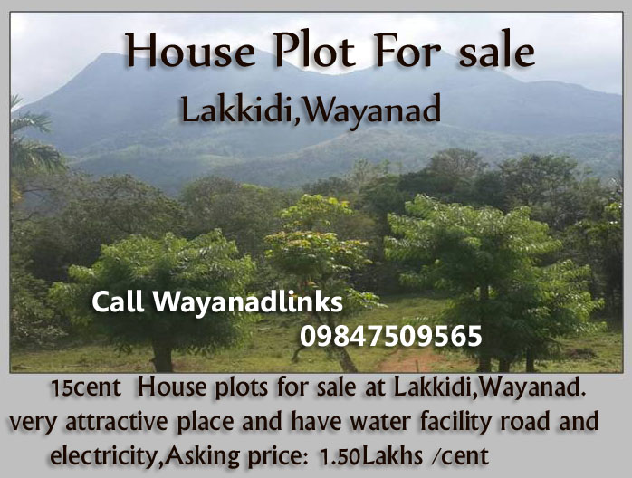 House plot for sale in Lakkidi Wayanad