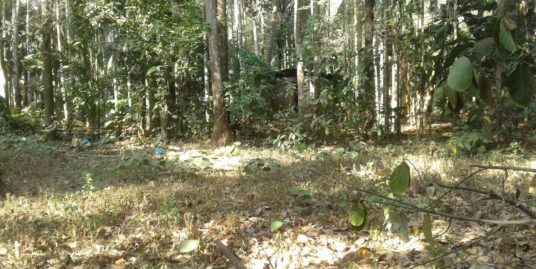 Small Tiled House in 17 Cents for Sale at Painkulam Near Chelakkara, Thrissur