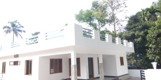 New 3 BHK House for Sale at Avoly, Vazhakulam, Kochi