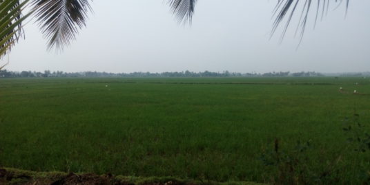 1 Acre Agriculture Land for Sale at Ezhumanthuruthu Near Vaikom