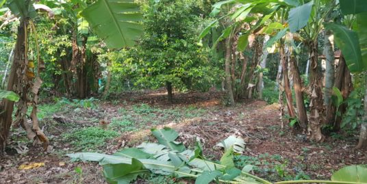 10 Cent Land For Sale In Kollakadavu – Allapuzha District