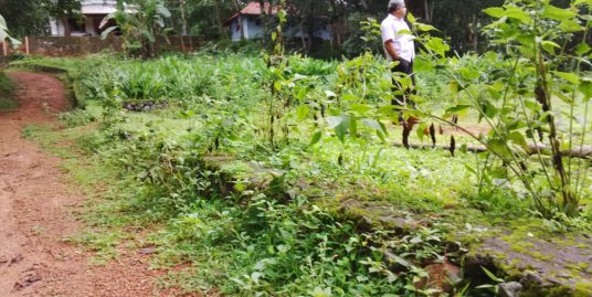 24 House Plot for Sale near Ernakulam at Affordable Price at Peppathy near Chinmaya International