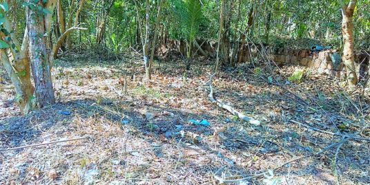 30 Cents Land for Sale at Mundayad, Kannur