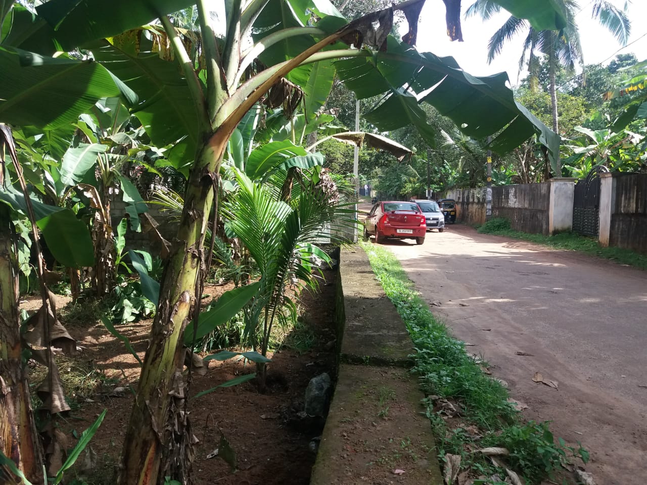 Six Cents Residential Square Plot for Sale at Thrikkanamangal,  kottarakkara