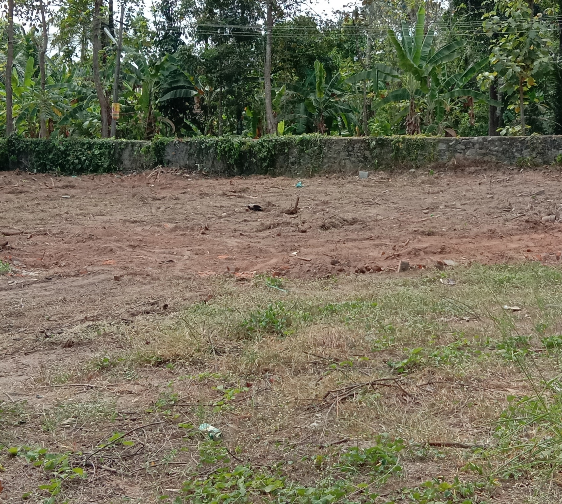 20 to 40 Cents of Land for Rent in Adoor Town