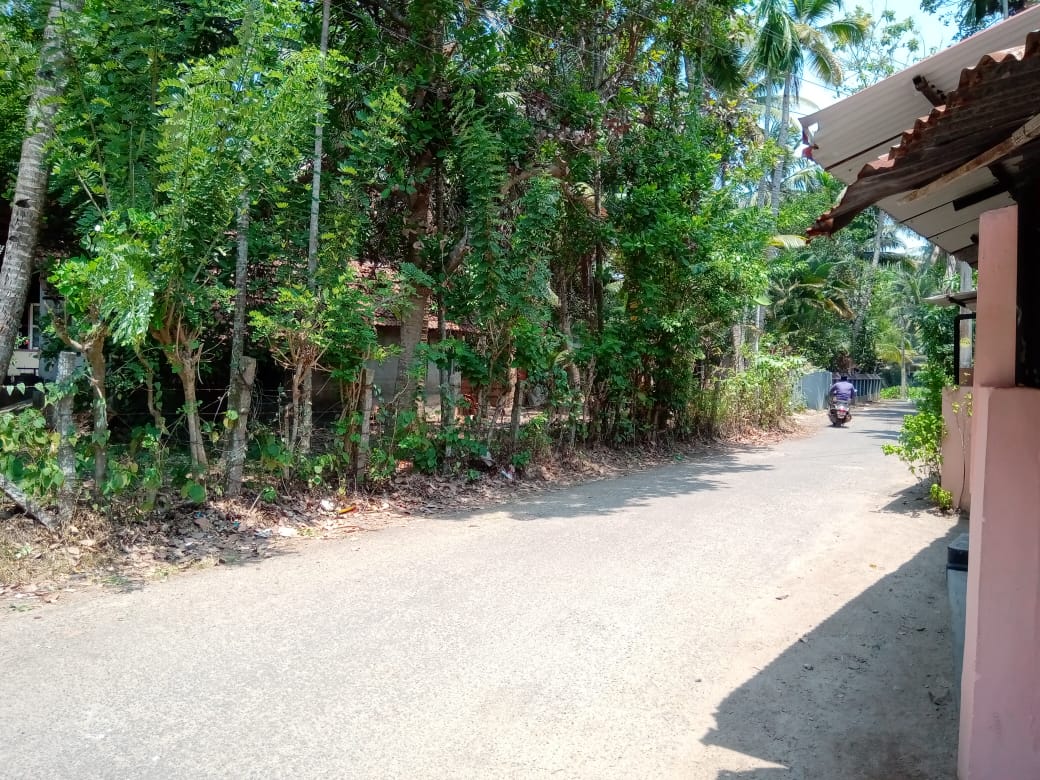 34 Cent plot with house for sale in Karunagappally