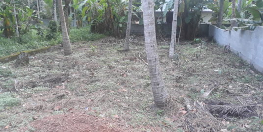 Plot for Sale
