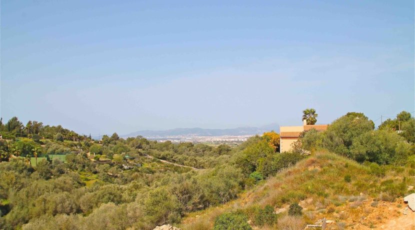 view