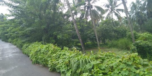 Land for Sale at Mini ooty- 1 Acres 51 Cents