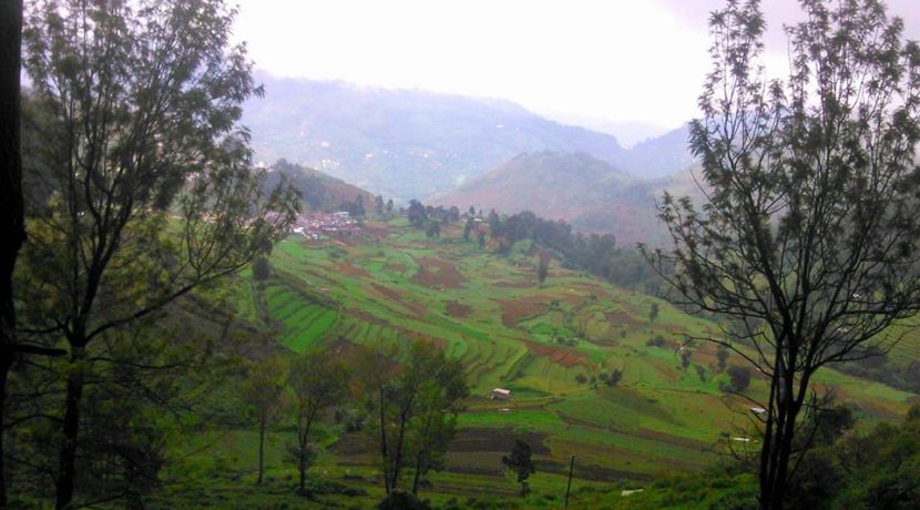 vilpatti-29