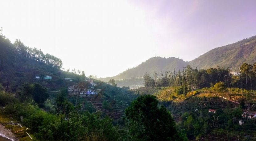 vilpatti-38