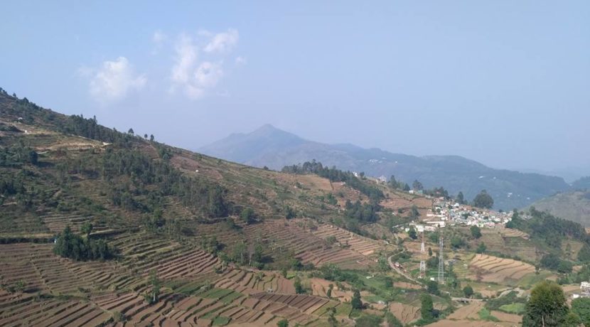 vilpatti-7
