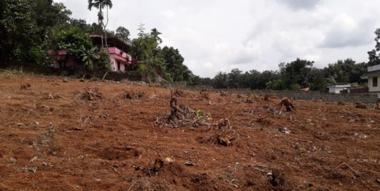 5.15 acre of Land for sale in Adoor Muncipality area, Rs90000 per cent ,Thatta-pathanamthitta road