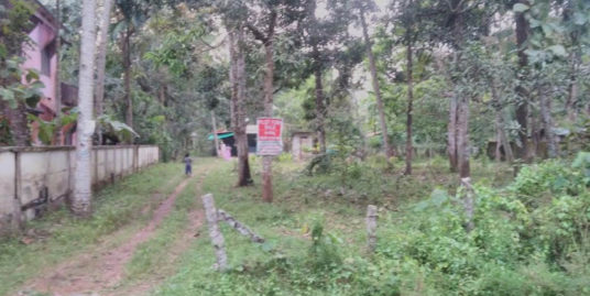 RESIDENTIAL PLOT