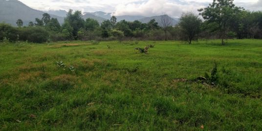 Commercial land