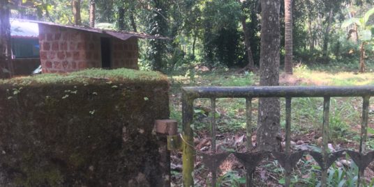 COMMERCIAL/RESIDENTAIL LAND FOR SALE