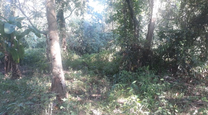 IMG-20191216-WA0005