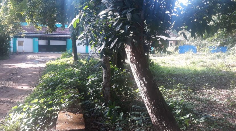 IMG-20191216-WA0013