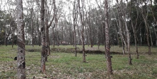 Residential Plot