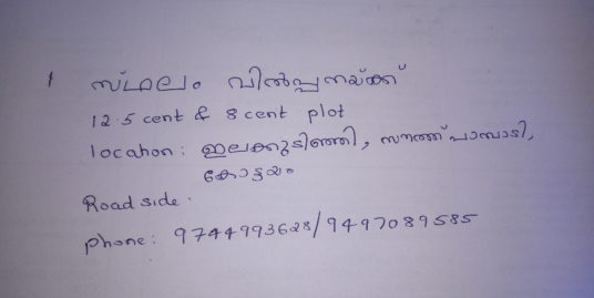Plot for sale 12.5cent and 8cent in elakudinji, pampady, kottayam