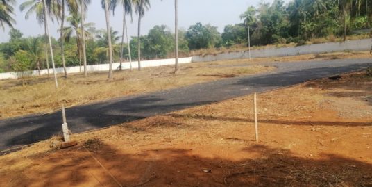Land for Sale in Kaiparambu,Thrissur