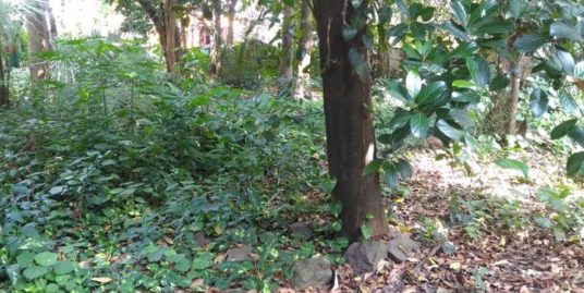 RESIDENTIAL LAND FOR SALE IN KOORKENCHERY