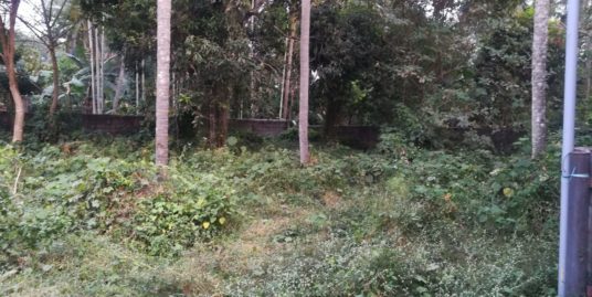 RESIDENTIAL PLOTS FOR SALE ON KUTTUR NEAR NEITHILAKKAVU TEMPLE