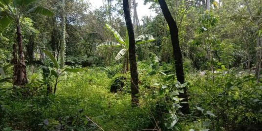 30 Cents residential plot for sale Murukkumpuzha, Trivandrum