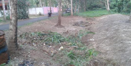 House plot