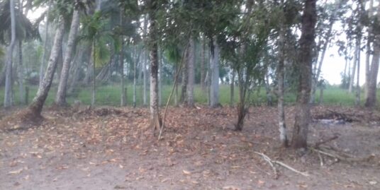Land for Sale