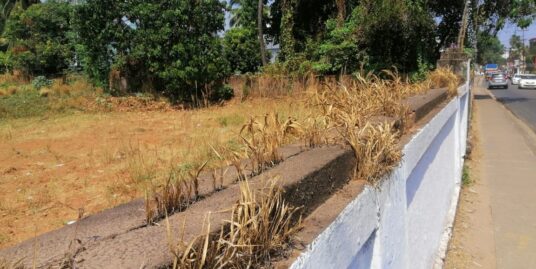 11 Cents Land For Sale At Kolazhy, Thrissur, Kerala