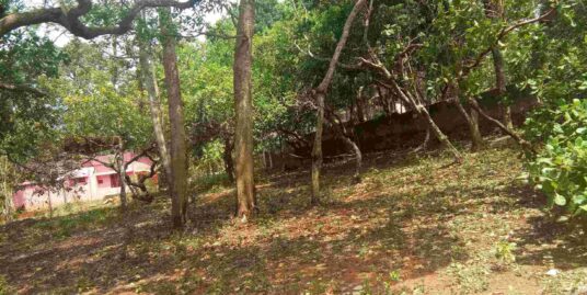 Land at Varkala