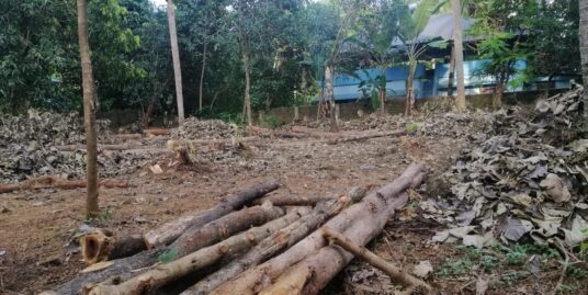 Residential land for sale in poochatty, nadathara.