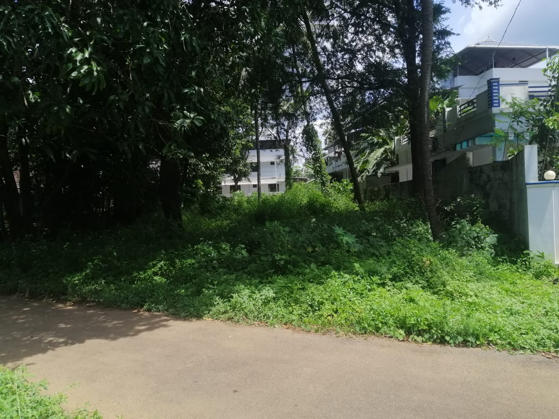 Residential land for sale kolazhy.