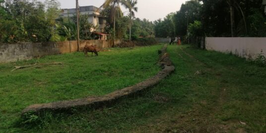 Good residential land for sale in Kuttur
