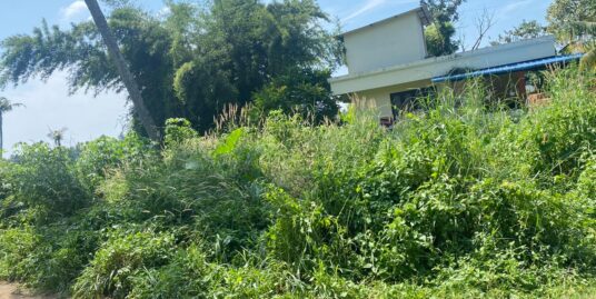 Land for sale in Viyyur,Pamboor.