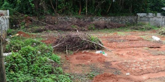 4.5 cent Land for sale in Avenue Road Thrissur.
