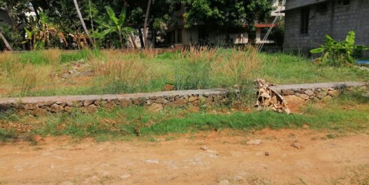 Residential land for sale Rose Garden Patturaikkal