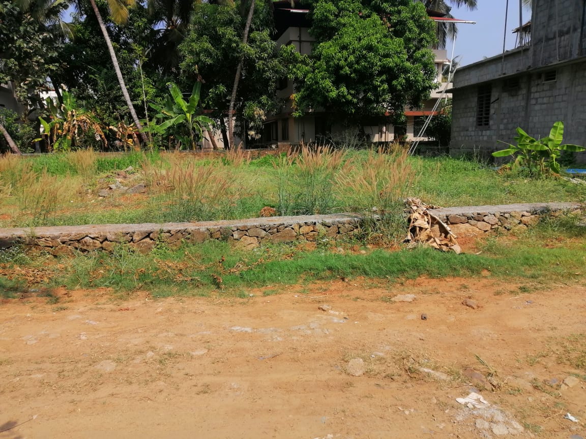 Residential land for sale Rose Garden Patturaikkal