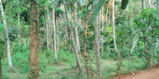 20 Cents Residential land in Iringal near National Highway, Vatakara