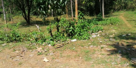 Land for sale in Velur,Thrissur.
