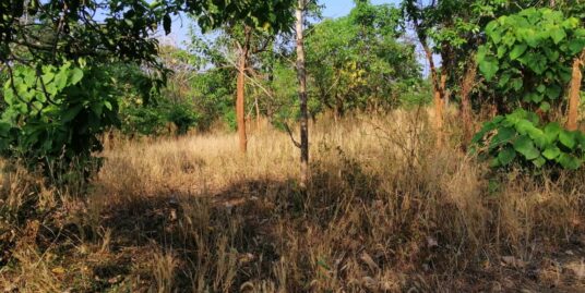 Residential land for sale Velappaya.