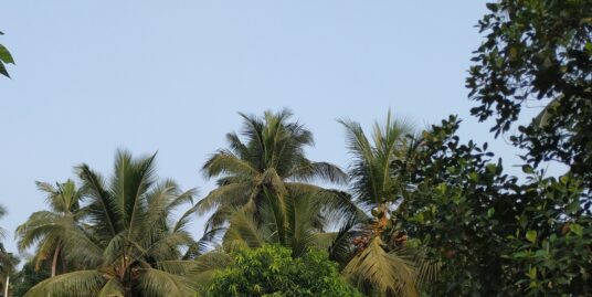 House for sale with nearly 9 cents of land. Arayadathupalam, Mavoor Road / Puthiyara , Kozhikode