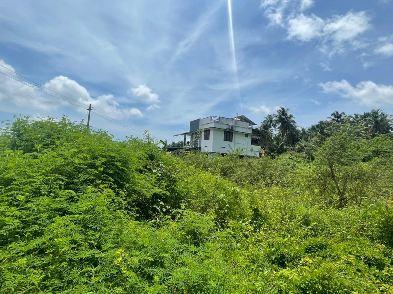 8cent residential land for sale in Kariattukara Thrissur