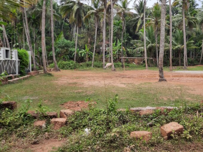 16 Cents Residential Land for sale at Pathiyarakkara – Maniyoor