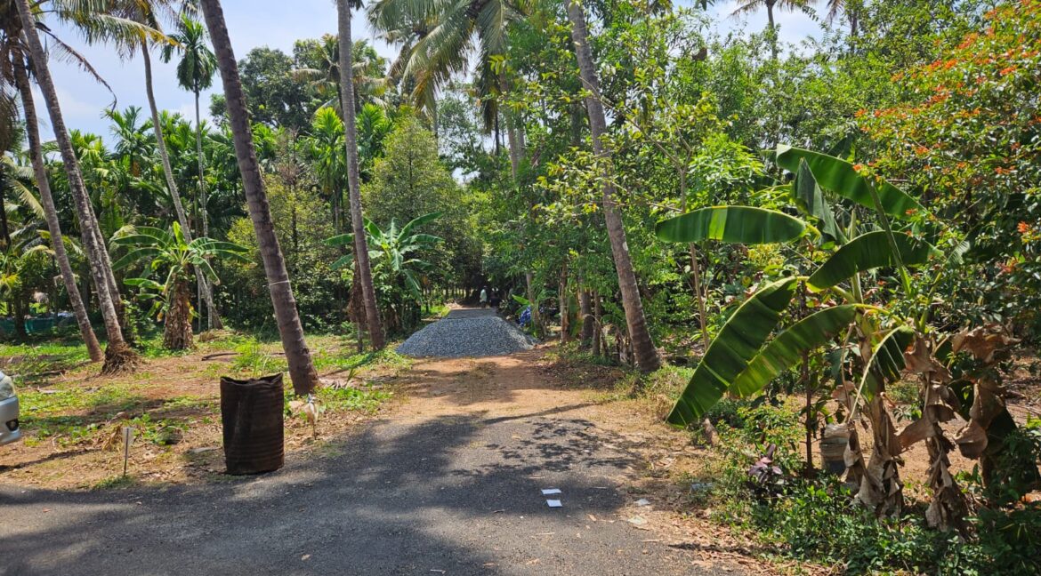 ollur_malakha_1