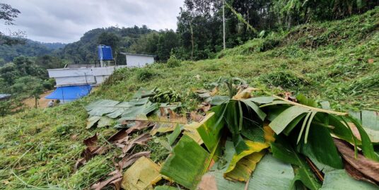 25 Cent Residential Plot for sale near Rajakkad, Ideal location to build house and agriculture – Beautiful location