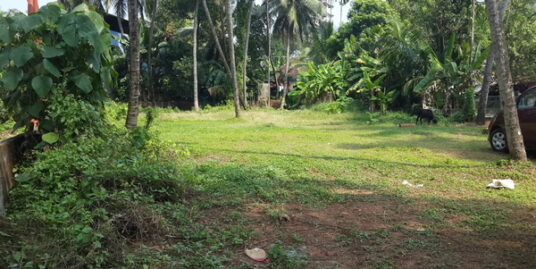 Land for sale in Athani, Viyyur, Thrissur